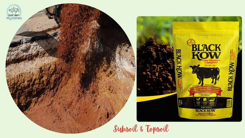 Subsoil vs Topsoil