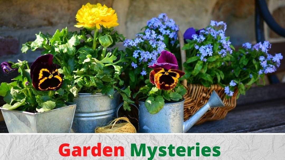 Garden Mysteries moto