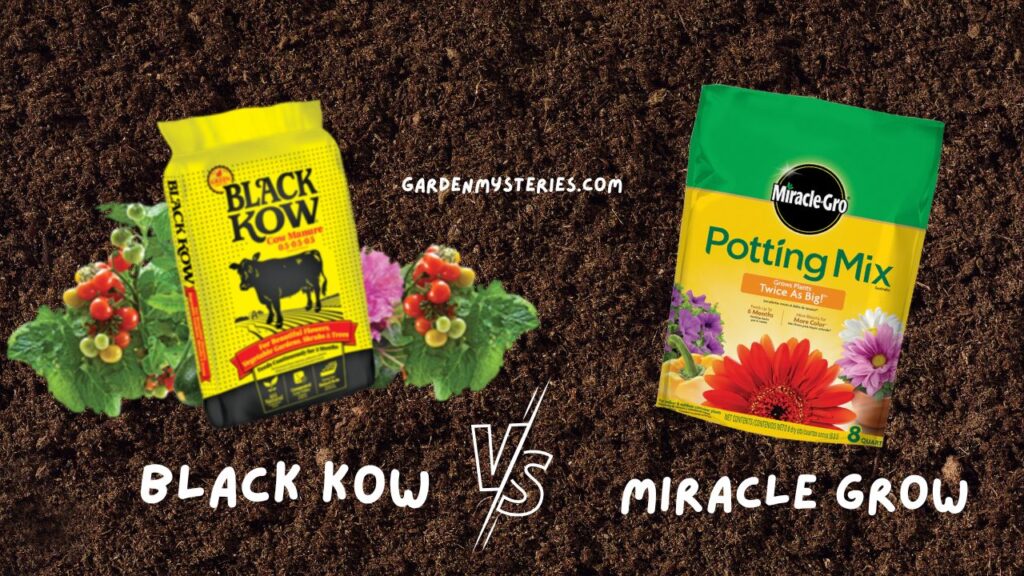 Black Kow Vs Miracle Grow Best Compost for Your Garden Garden Mysteries