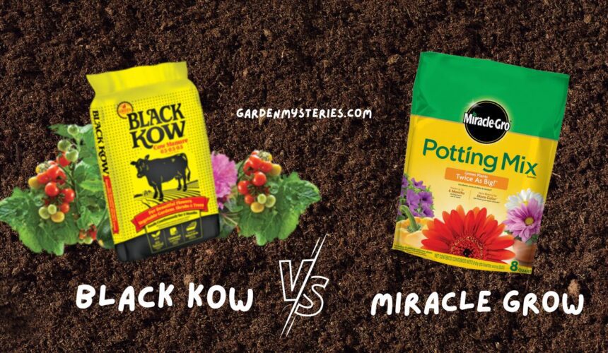 Black Kow Vs. Miracle Grow