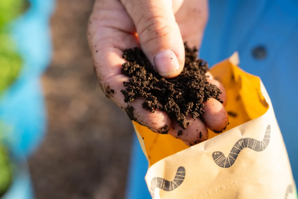 Worm Castings