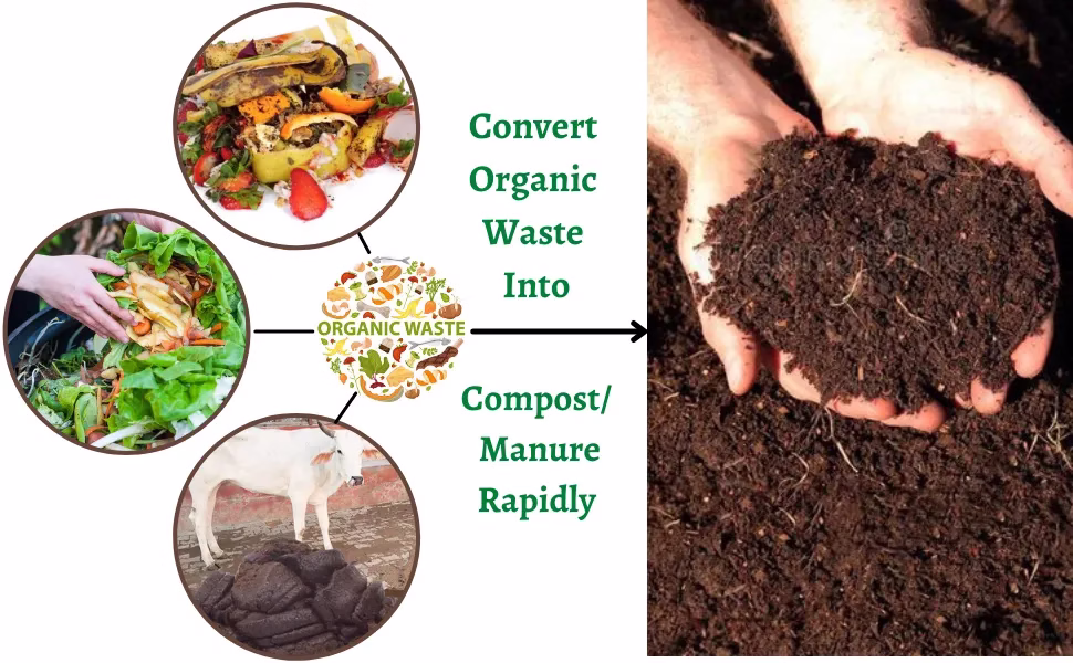 compost for agriculture