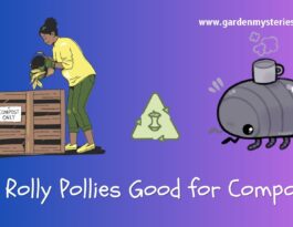Are Rolly Pollies Good for Compost?
