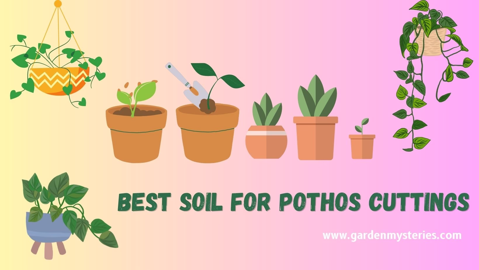 Best Soil for Pothos Cuttings