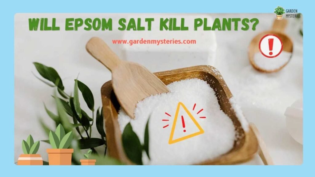Epsom Salt Kill Plants
