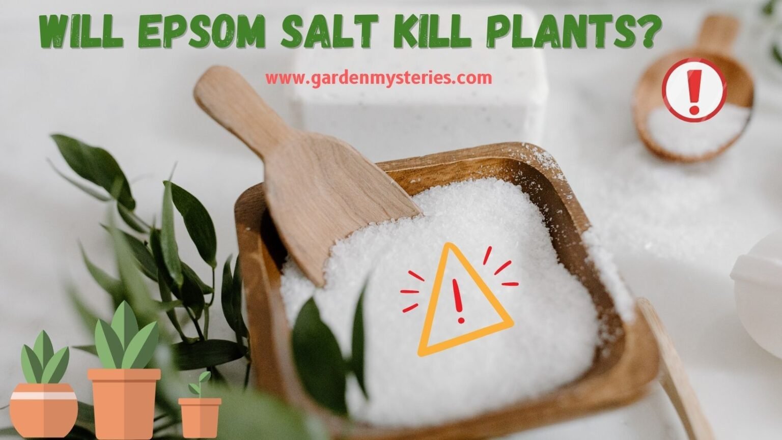 Will Epsom Salt Kill Plants? Garden Mysteries