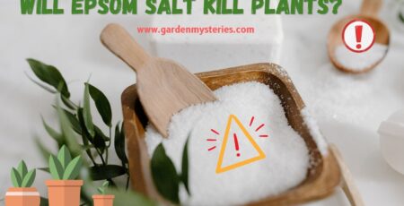 Will Epsom Salt Kill Plants