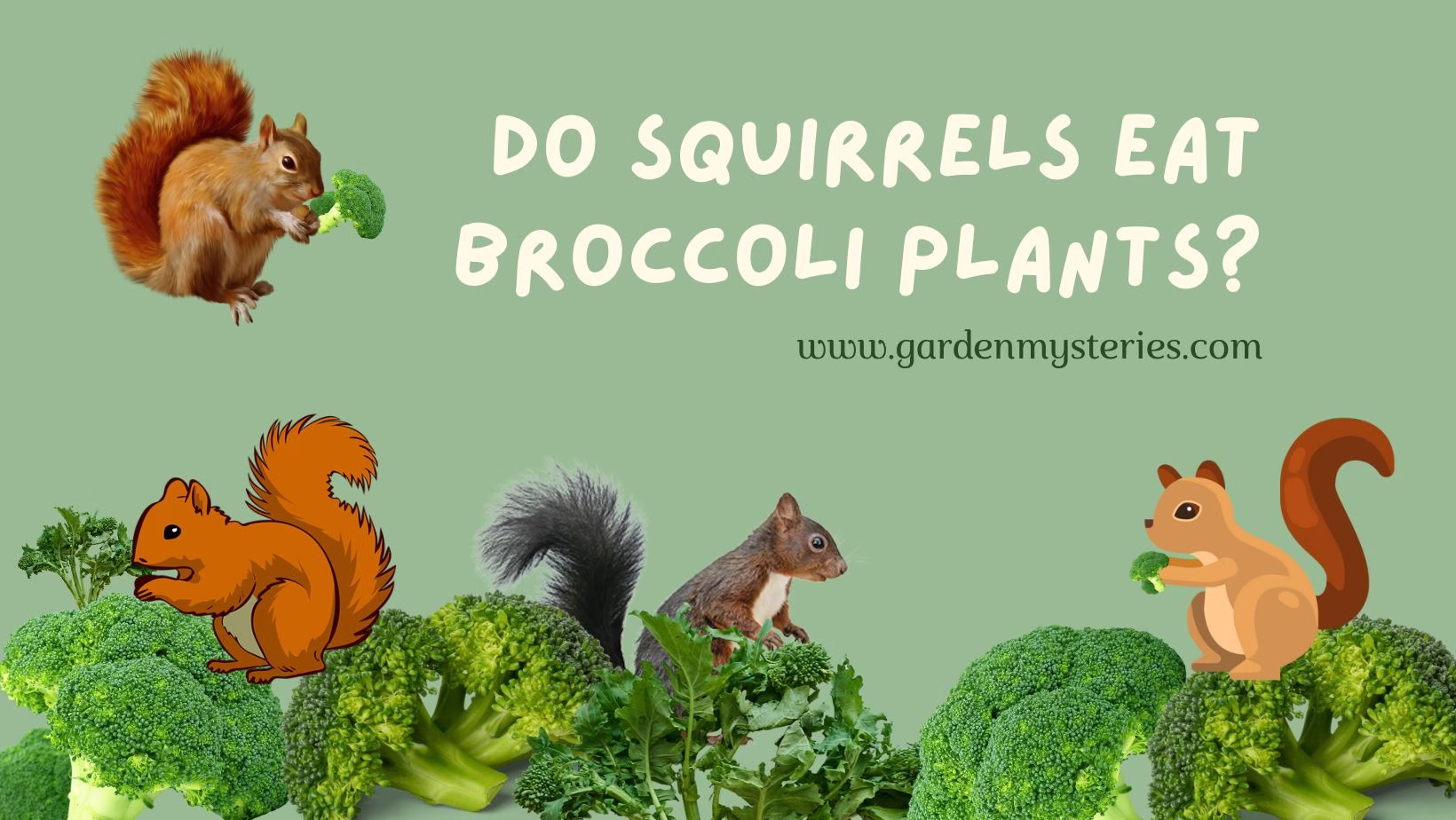 do squirrels eat broccoli plants?