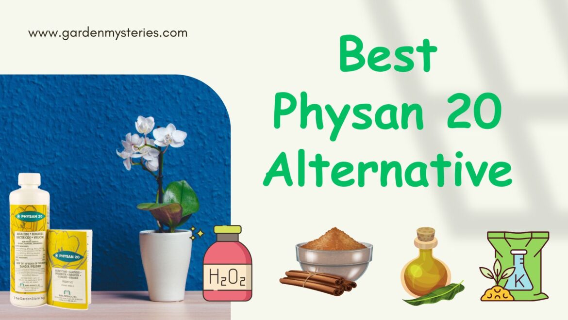 physan 20 alternative