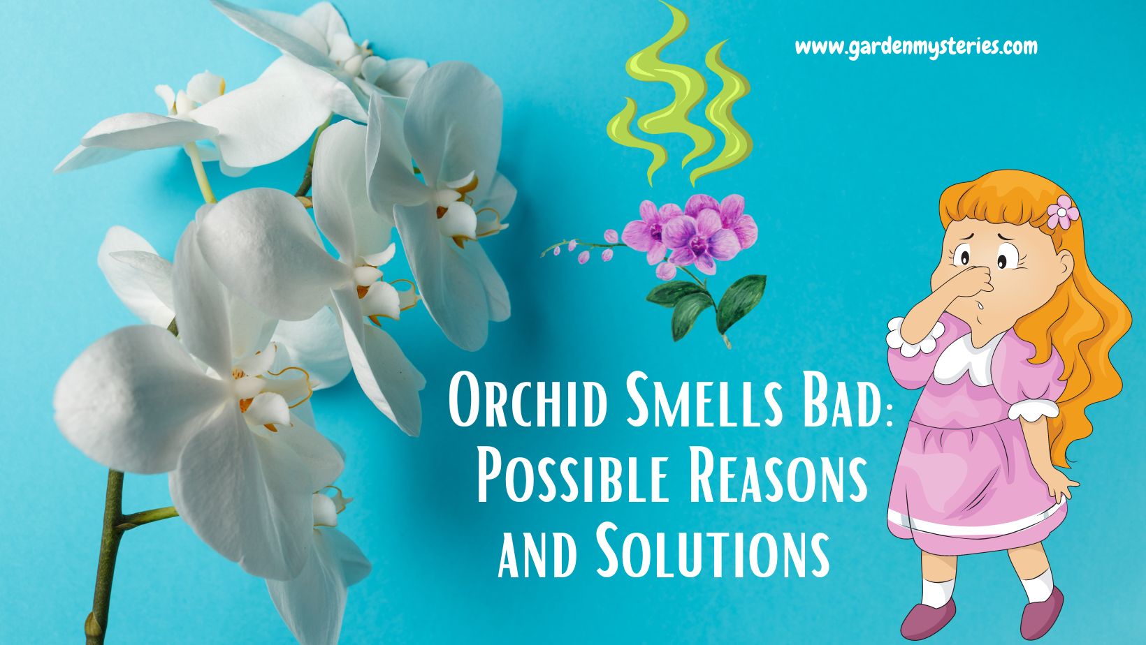 Orchid Stem Turning Pink: Reasons and Solutions