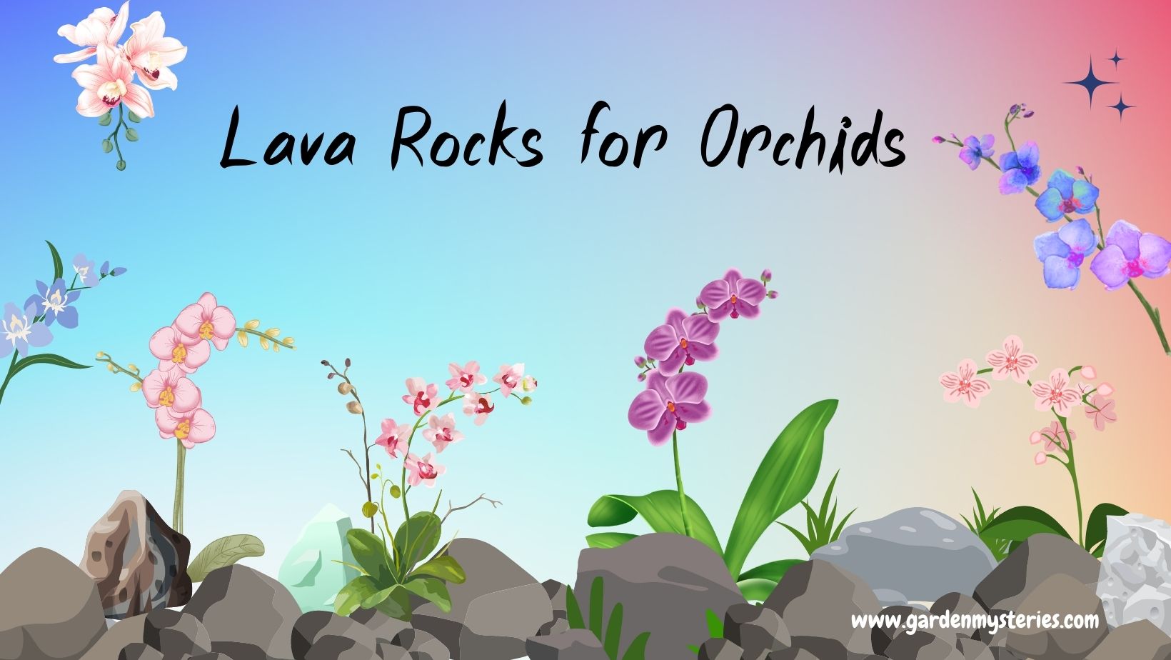 Lava Rock for Orchids