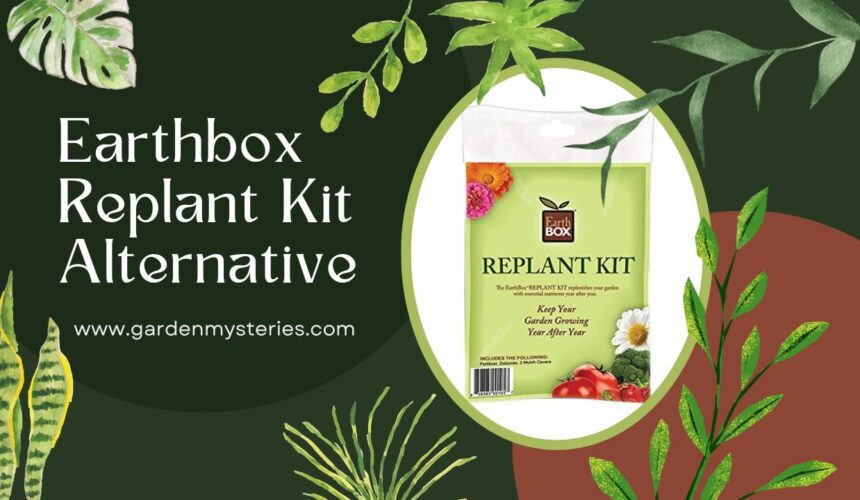 earthbox replant kit alternative