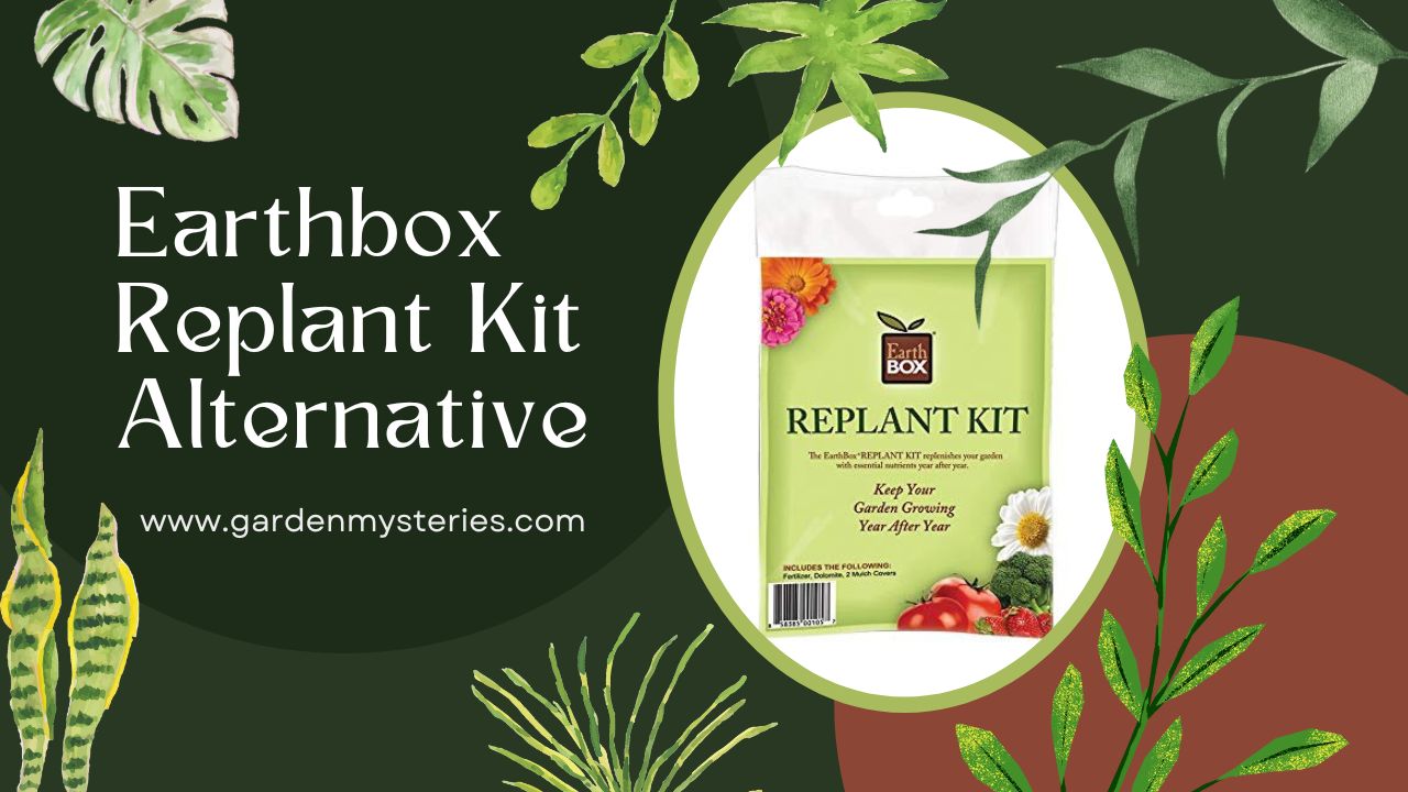 earthbox replant kit alternative