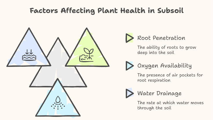 subsoil layer