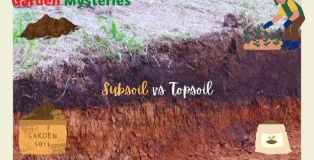 soil layers