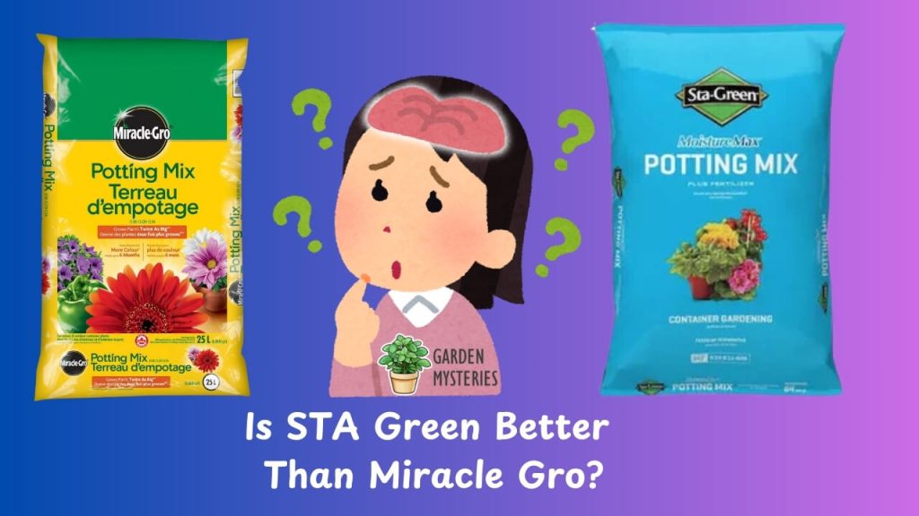 Is STA Green Better Than Miracle Gro