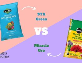 STA Green VS Miracle Gro Potting Mix