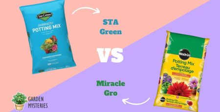 STA Green VS Miracle Gro Potting Mix