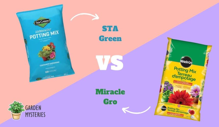 STA Green VS Miracle Gro Potting Mix