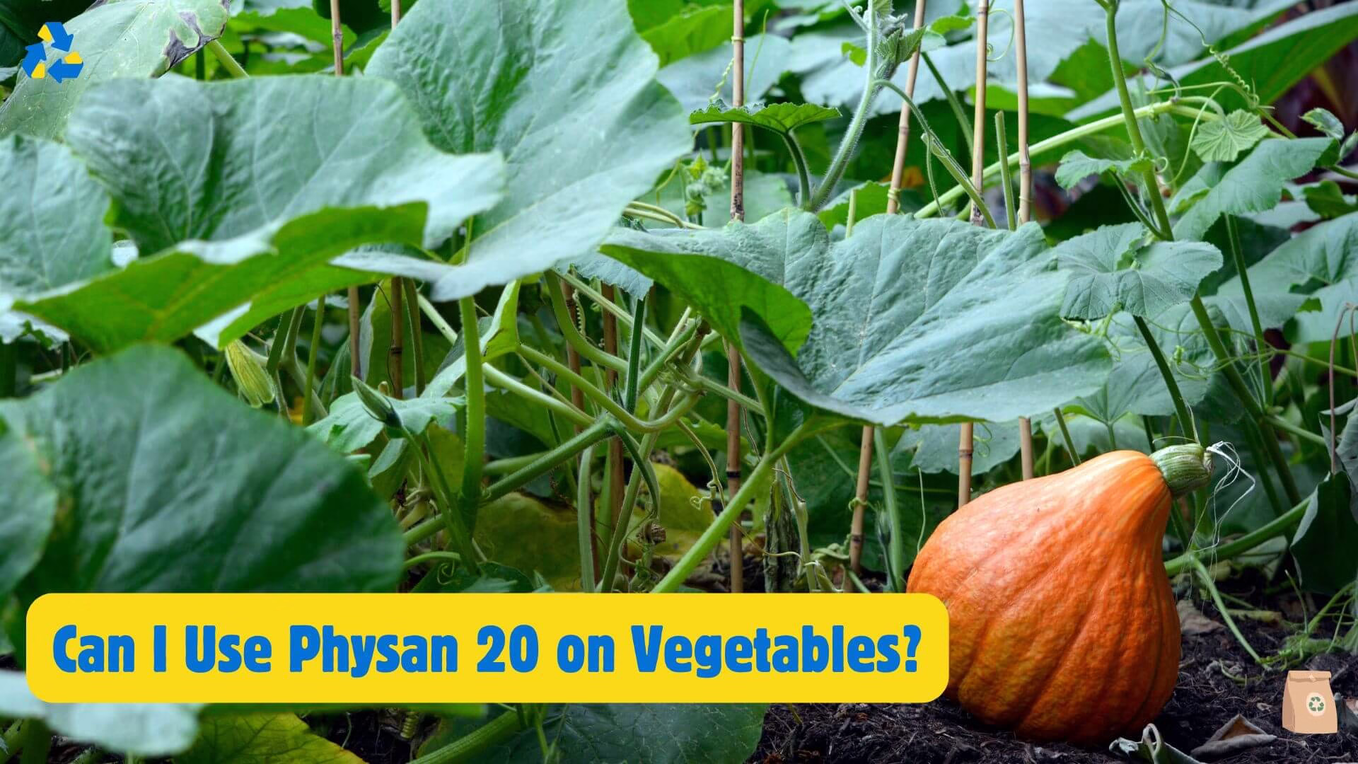 Physan 20 for houseplants