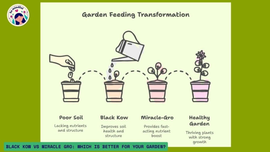 Black Kow vs Miracle Grow Key Takeaways