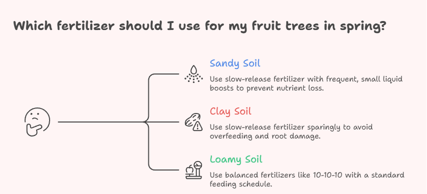 comparison of sandy clay and loamy soil showing fertilizer absorption for fruit trees