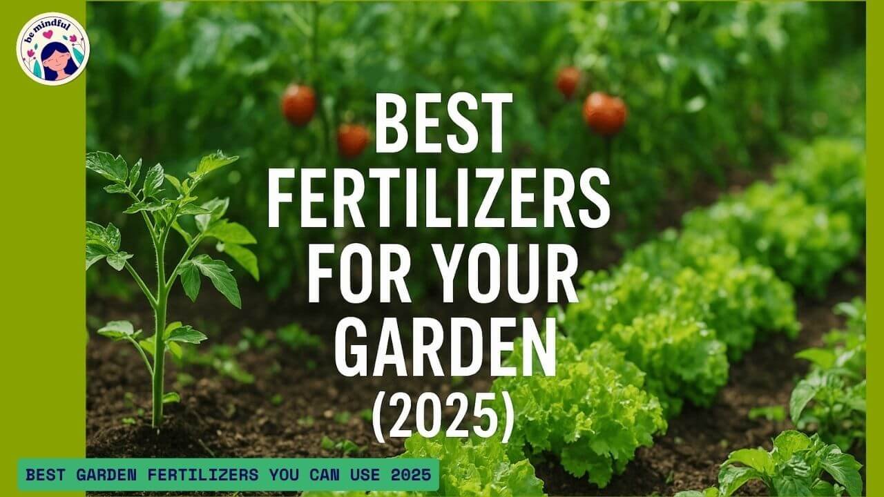 Best Garden Fertilizers for Vegetables