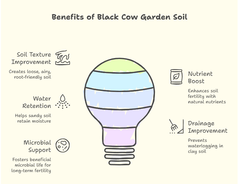 Black Kow Garden Soil for Healthy Gardens