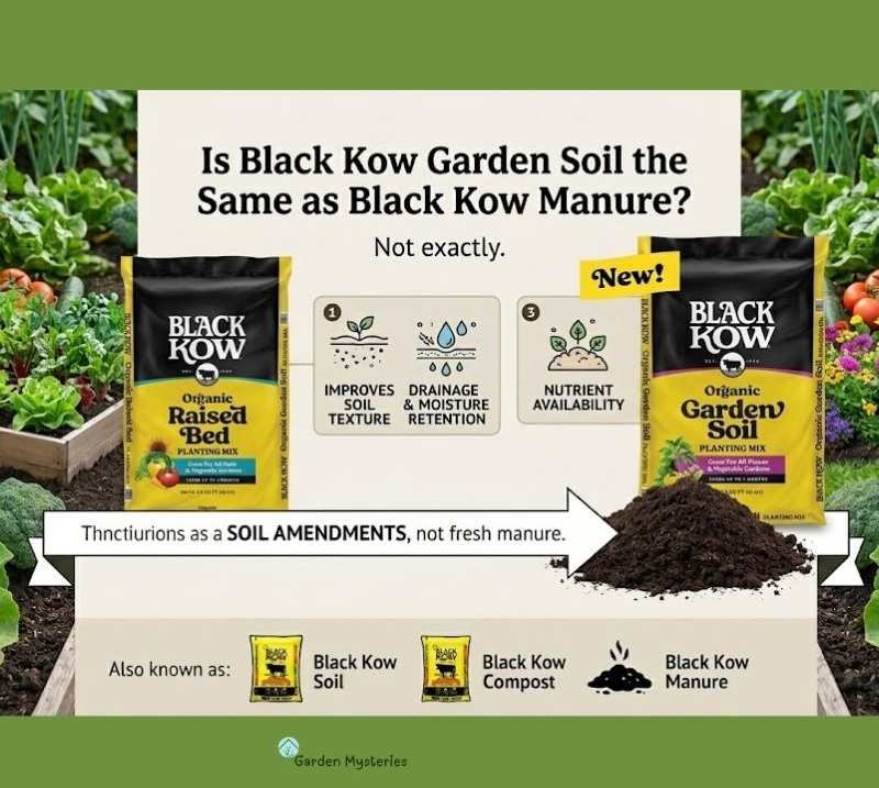 Black kow Soil