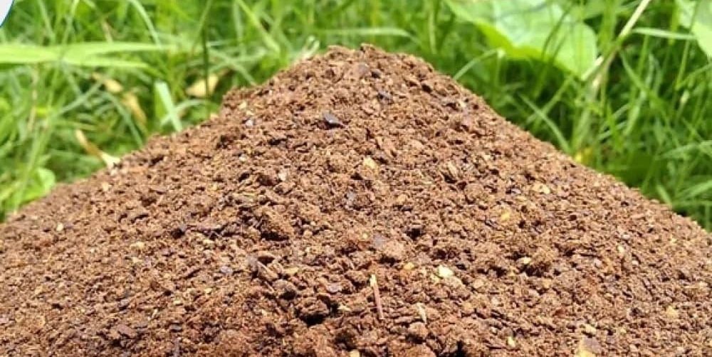 Neem Cake vs Chemical Fertilizer