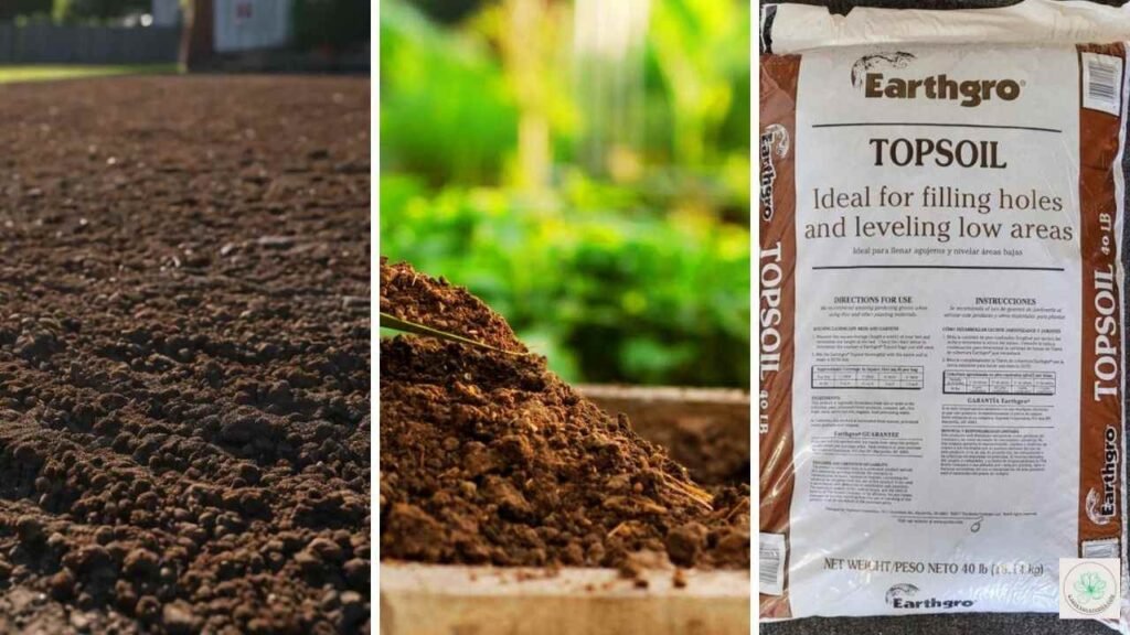 Earthgro Topsoil vs Scotts Premium Topsoil