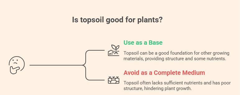 Can You Plant Directly in Topsoil