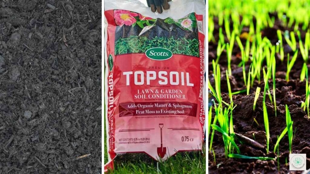 Earthgro vs Scotts Premium Topsoil