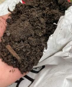 Can You Plant Directly in Topsoil?
