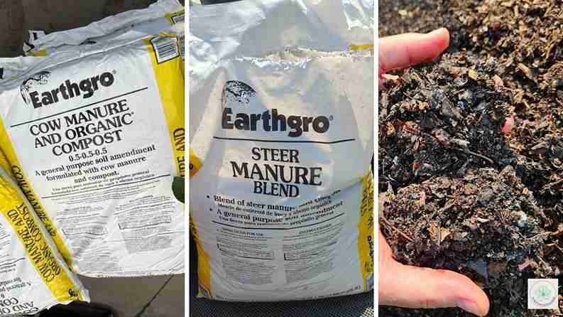 Black Kow compost vs Earthgro Compost