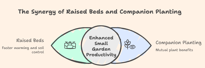 Spring Vegetable Pairings