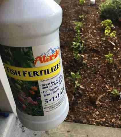 16-16-8 liquid fertilizer