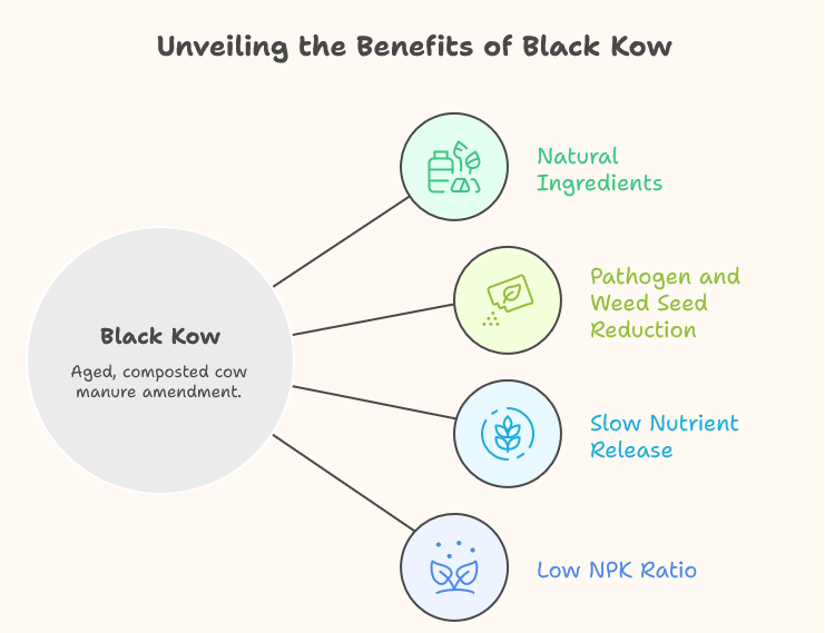Black Kow vs Black Velvet