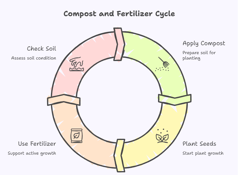 Compost vs Fertilizer
