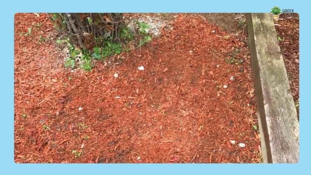 is scotts mulch good