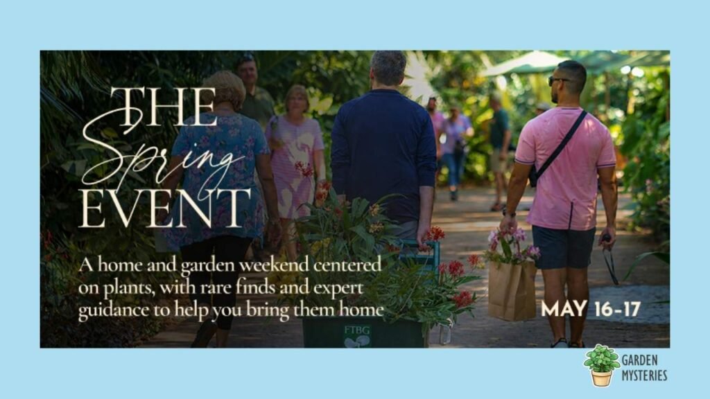 Spring Sale Event for Plants