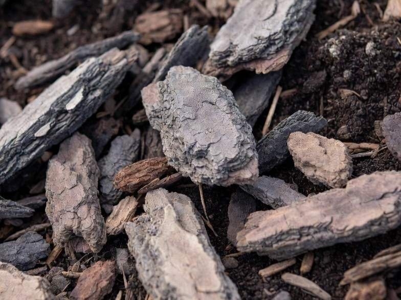 natural Bark Mulch
