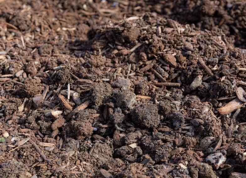 organic compost