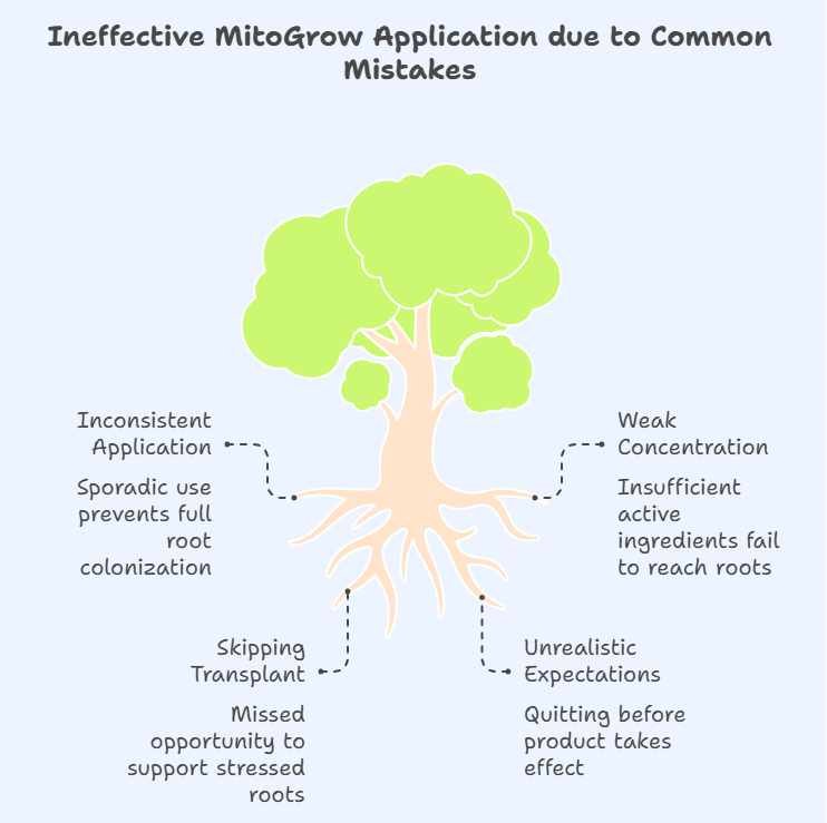 Common Mistakes People Make With Mito Grow