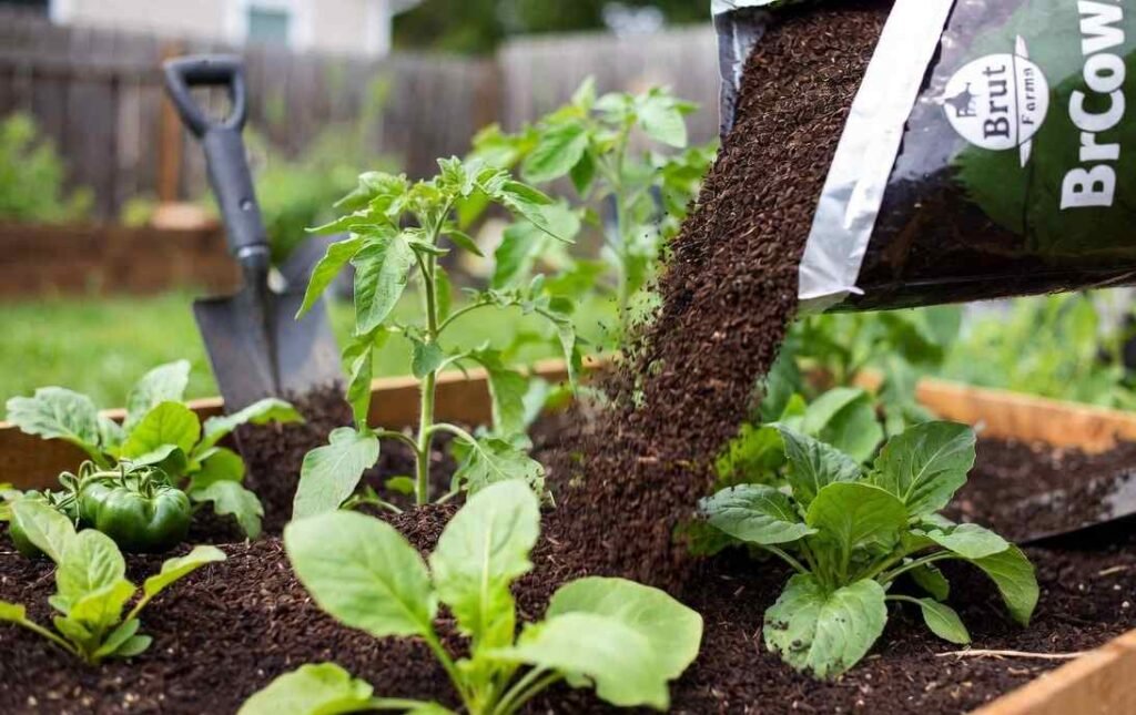brut farm organic cow compost