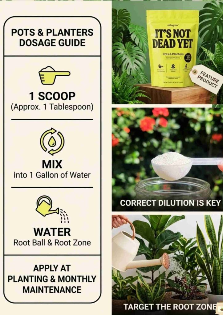 How Much MitoGrow to Use per gallon of water