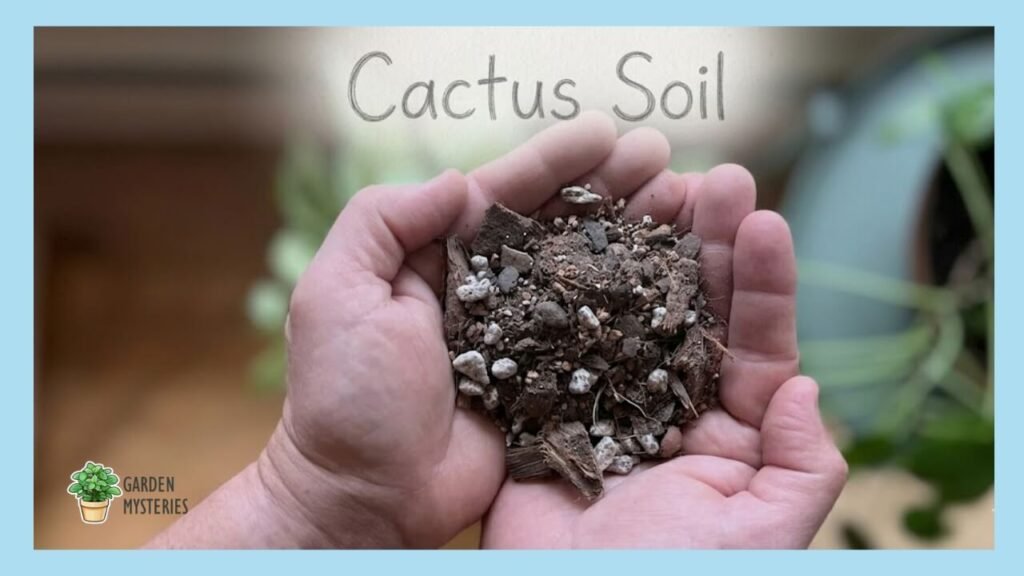 Cactus Soil mix