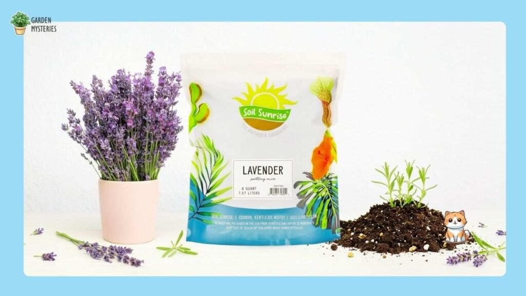 Soil Sunrise Lavender Potting Soil Mix