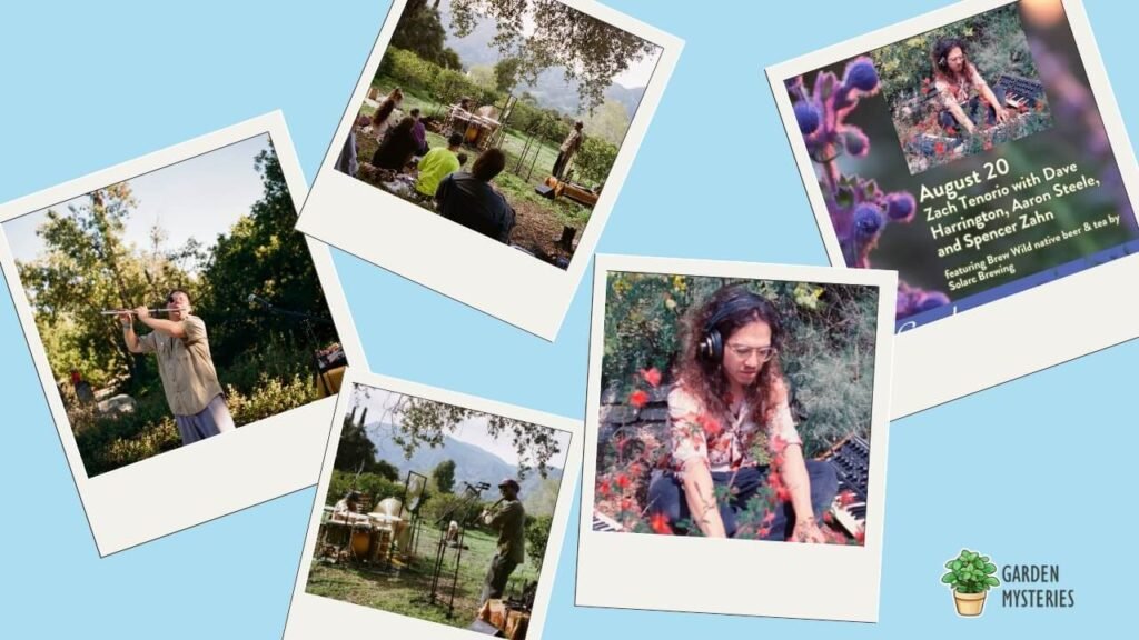 Join Garden Groove