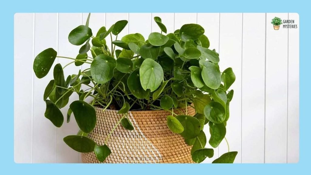 Woven Basket for a Natural Look